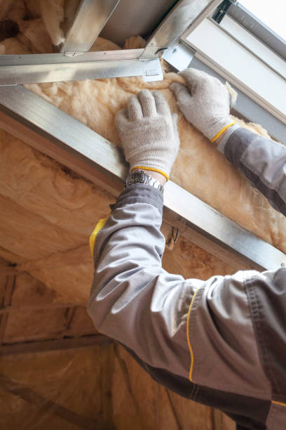 Best Insulation Maintenance and Repair in Olivet, TN