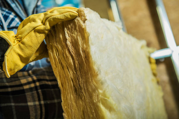 Best Commercial Insulation in Olivet, TN