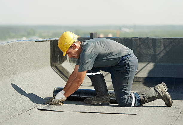Best Residential Insulation in Olivet, TN
